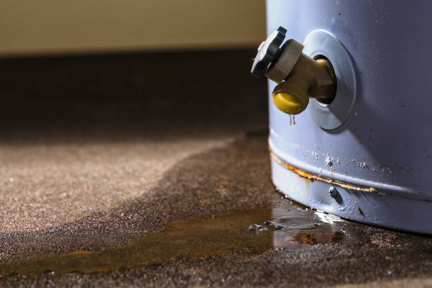 Best Flood restoration services  in East Rochester, NY