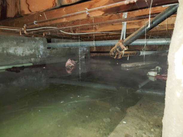 Best Ceiling water damage repair  in East Rochester, NY