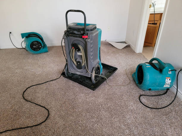 Best Fire Damage Restoration  in East Rochester, NY