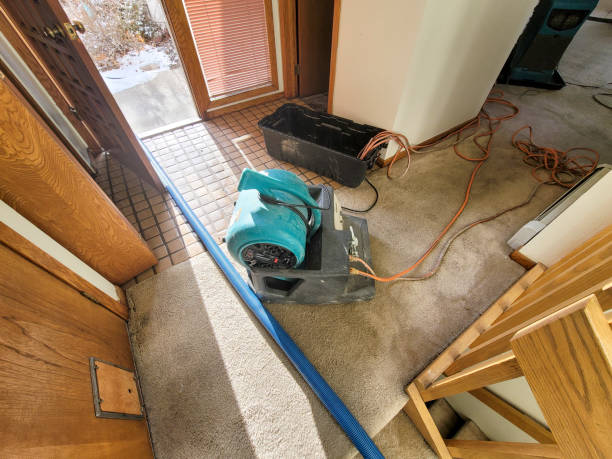 Best Water damage restoration near me  in East Rochester, NY