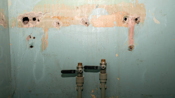 Best Water damage cleanup near me  in East Rochester, NY