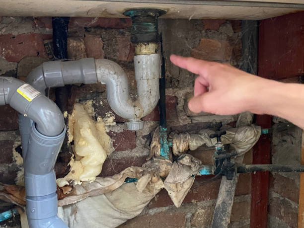 Best Water damage contractors near me  in East Rochester, NY