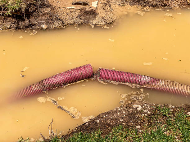 Best Professional water damage repair  in East Rochester, NY