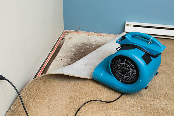 Best Sewage cleanup and water damage restoration  in East Rochester, NY